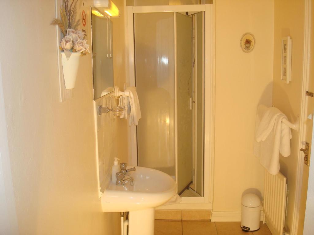 Athlumney Manor Guest 4* Navan